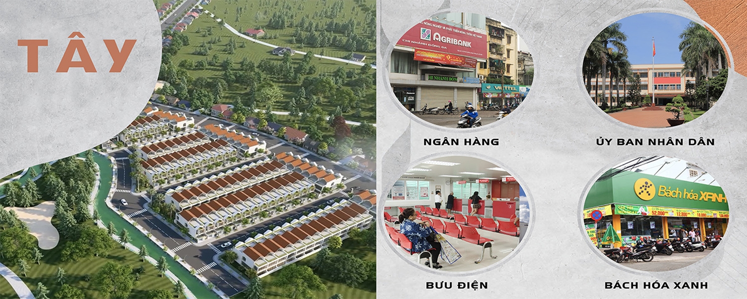 Lối sống xanh bảo vệ sức khỏe
