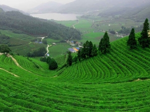 Những khu vực mới mẻ được dự báo sẽ phát triển mạnh về BĐS sinh thái, nghỉ dưỡng