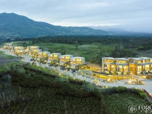 Đất Nền Forest Hills Bảo Lộc Có Gì Hót
